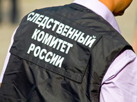 СК Ленобласти возбудил дело из-за того, что активист задел полицейского древком от флага - «Новости дня»