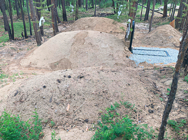 В России нашли массовое захоронение мигрантов в лесу - «Новости дня»