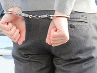 В Вологде задержали активиста Евгения Доможирова из-за видео о двойном голосовании по Конституции - «Россия»