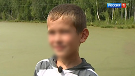 Вести Маленький герой: авария в Красноярском крае закончилась чудесным спасением - «Телеканал «Россия»