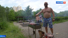 Вести-Москва Выжженная трава и горы мусора: московских любителей шашлыков не пугает даже штраф - «Телеканал «Россия»