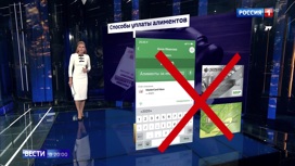 Вести в 20:00 Исторический "рекорд": долги россиян по алиментам составили 156 миллиардов - «Телеканал «Россия»