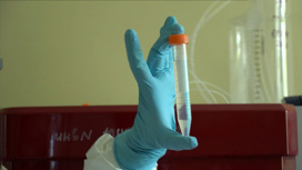 Вести Эфир от 14.08.2020 (11:00) - «Телеканал «Россия»