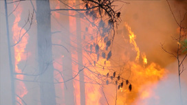 Вести Эфир от 14.08.2020 (14:00) - «Телеканал «Россия»