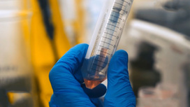 Вести Эфир от 17.08.2020 (09:00) - «Телеканал «Россия»