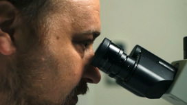 Вести Эфир от 17.08.2020 (11:00) - «Телеканал «Россия»