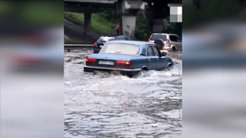 Вести Эфир от 18.08.2020 (11:00) - «Телеканал «Россия»