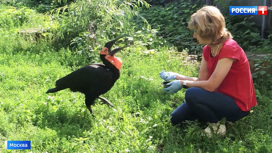 Вести-Москва Эфир от 05.08.2020 (14:30) - «Телеканал «Россия»