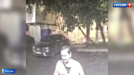 Вести-Москва Оставила ночью на улице: в Москве нашли мать брошенного ребенка - «Телеканал «Россия»