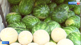 Вести-Москва В Москве официально стартовал сезон продажи бахчевых - «Телеканал «Россия»
