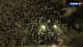 Вести Снег в августе: в Торжке один из мостов оккупировали миллионы бабочек поденок - «Телеканал «Россия»