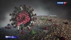 Вести в 20:00 Эфир от 12.08.2020 - «Телеканал «Россия»