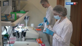 Вести в 20:00 Эфир от 14.08.2020 - «Телеканал «Россия»