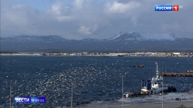 Вести в 20:00 На Курилах открылся центр мониторинга и прогнозирования ЧС - «Телеканал «Россия»