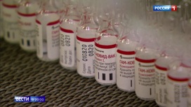 Вести в 20:00 Первый "Спутник" России: наша вакцина от COVID-19 — во всех мировых агентствах - «Телеканал «Россия»