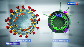 Вести в 20:00 Создателей российской вакцины от коронавируса пытаются перекупить - «Телеканал «Россия»