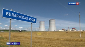 Вести в 20:00 В первый блок Белорусской АЭС началась загрузка ядерного топлива - «Телеканал «Россия»