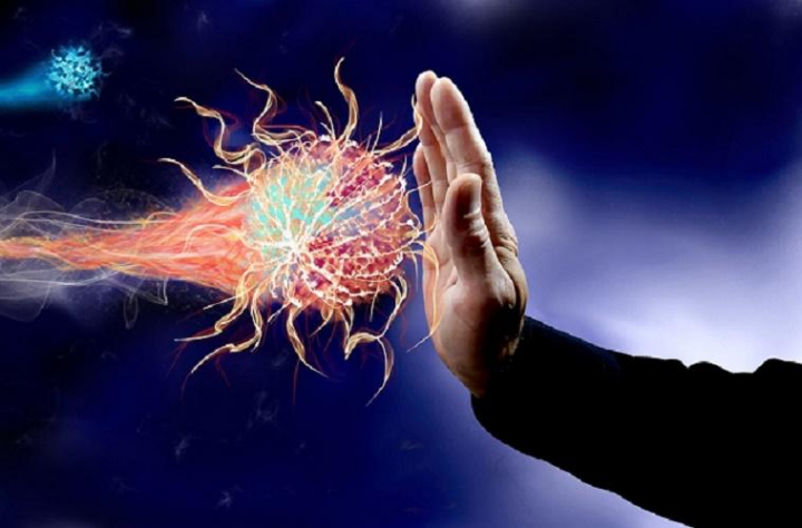 Учёные нашли связь между иммунитетом и временем года