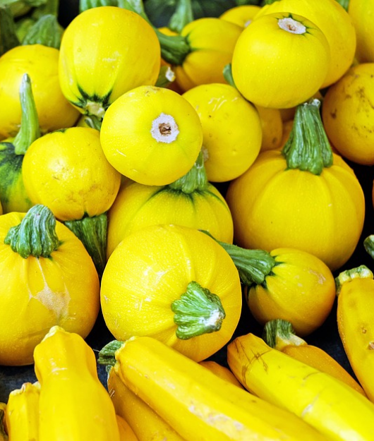 Эндокринолог Жаркова назвала кабачок лучшим продуктом для похудения