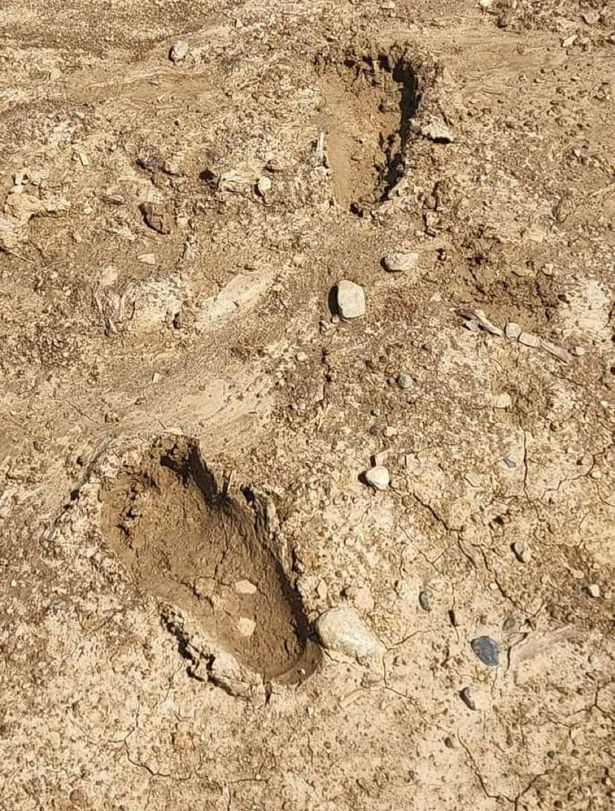 Охотники на снежного человека обнаружили следы ступней бигфута