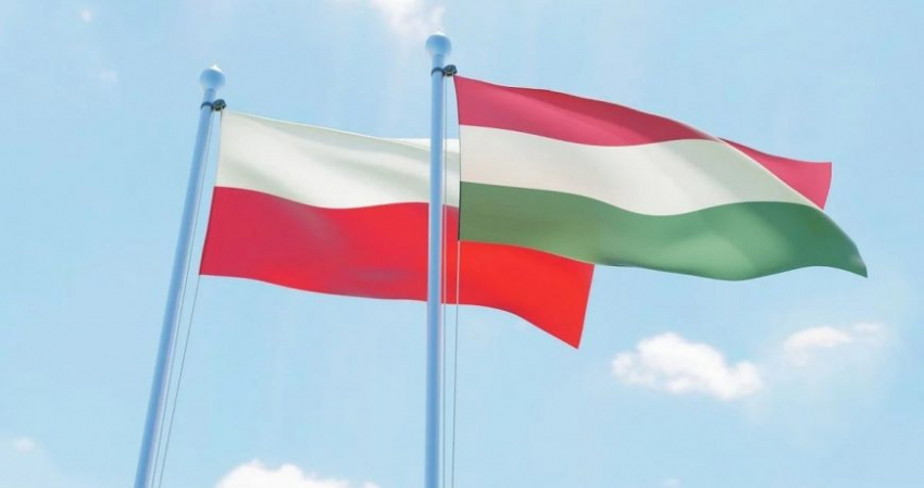 Польша и Венгрия выступили против плана Евросоюза по сокращению потребления газа