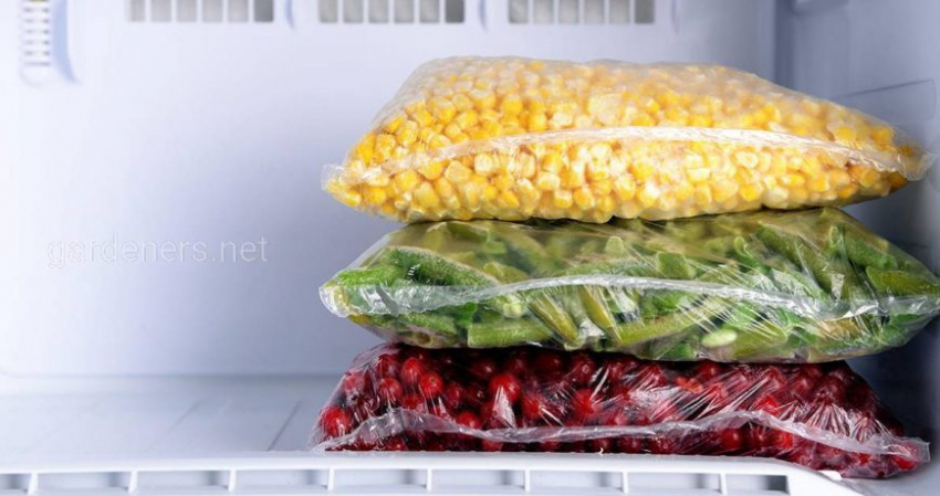 Названы продукты, которые после заморозки превращаются в яд