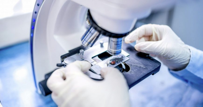 Ученые обнаружили новый вирус в Китае: что о нем известно