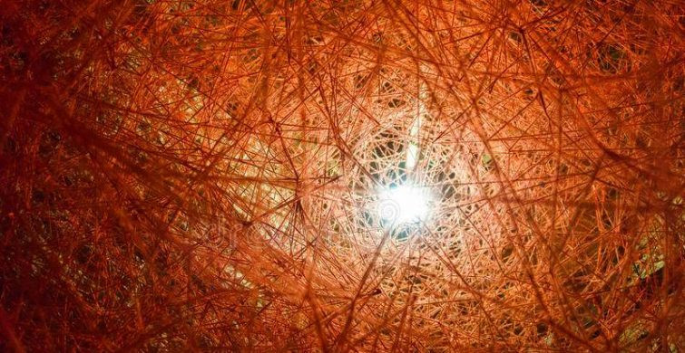 Пузырьки солнца и апельсиновое свечение: как отметить Оранжевый день 5 сентября