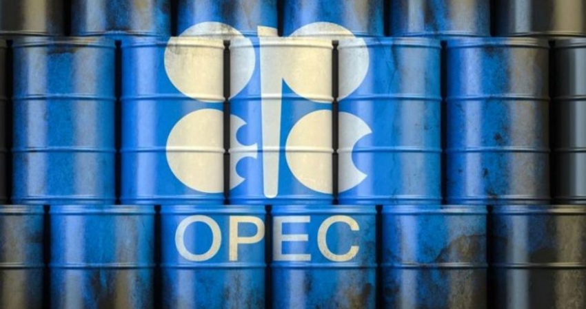 Суточную добычу нефти в странах ОПЕК+ снизили в августе на 50 000 баррелей