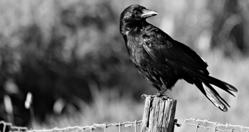 Народный праздник 11 октября 2022 года: старинные приметы, традиции, что нельзя делать