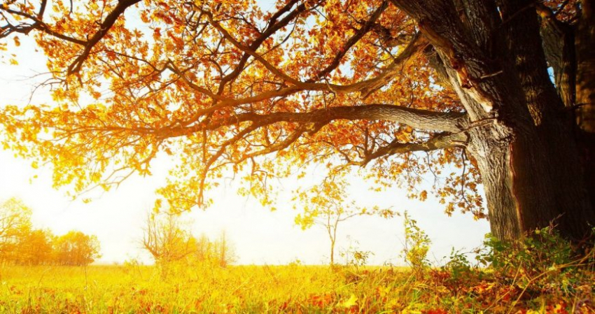 Старинные народные приметы праздника 29 октября 2022 года, какие запреты нарушать нельзя