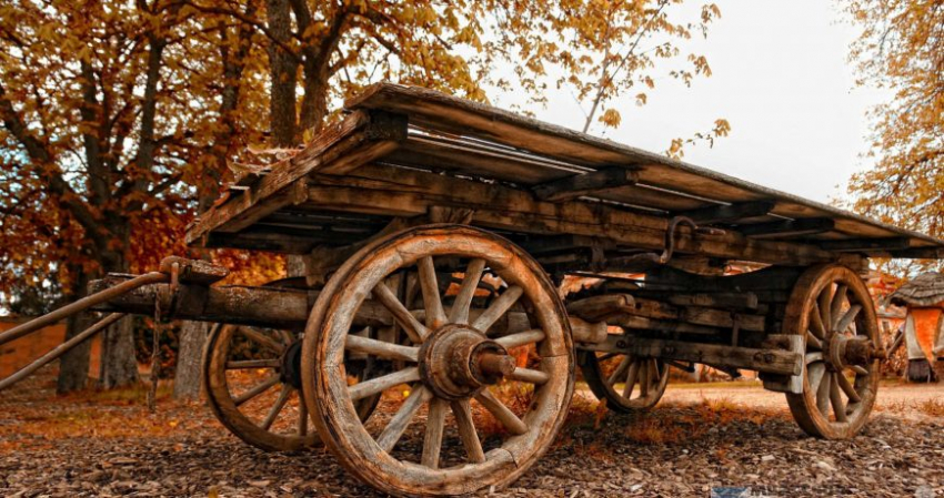 Осия Колесник расскажет, какой будет зима: народные приметы и праздники 30 октября 2022 года