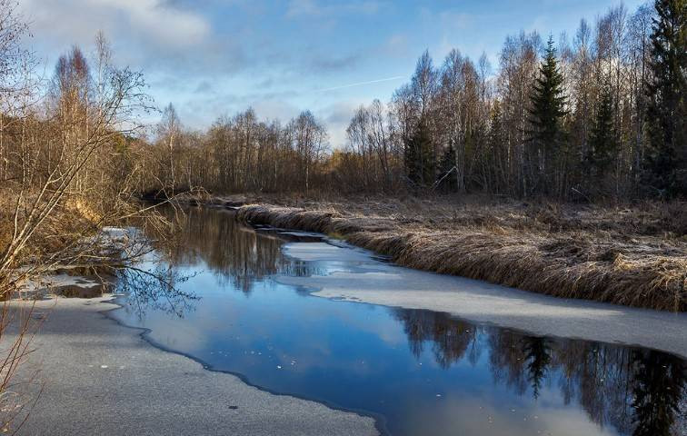 Приметы и поверья для беременных женщин на 20 ноября 2022 года, в день иконы Божией Матери «Взыграние младенца»