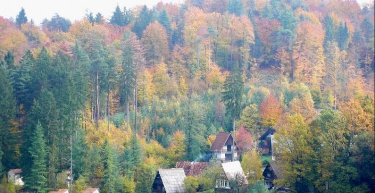 В Матвеев день 29 ноября 2022 года издавна принято ходить в гости в соседям