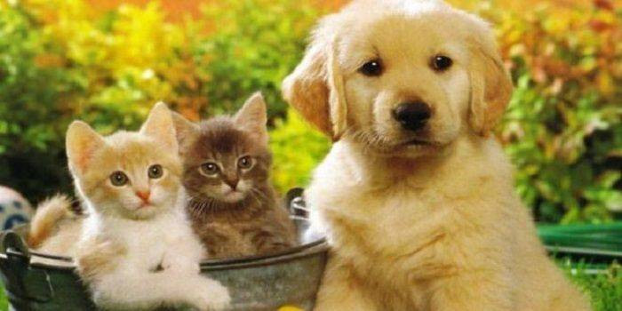 Какой праздник сегодня 30 ноября 2022 года будут отмечать в России и в мире