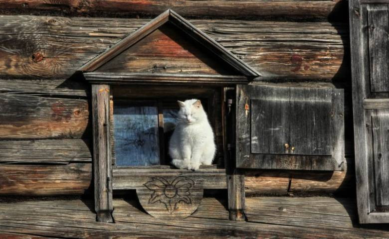 Народные приметы и поверья на 30 ноября 2022 года, указывающие на изменения в погоде