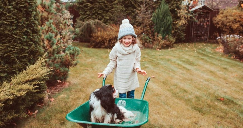 План обязательных работ на даче в ноябре 2022 года