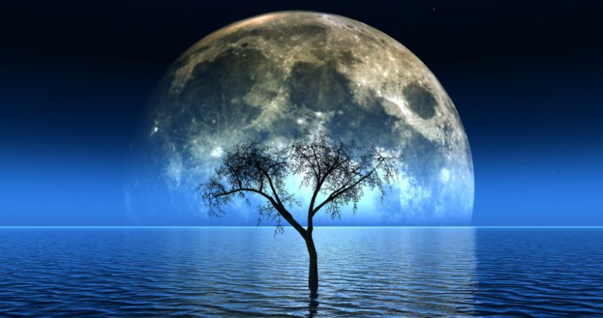 Новолуние в ноябре 2022 года: когда наступит, благоприятные дни в лунном календаре