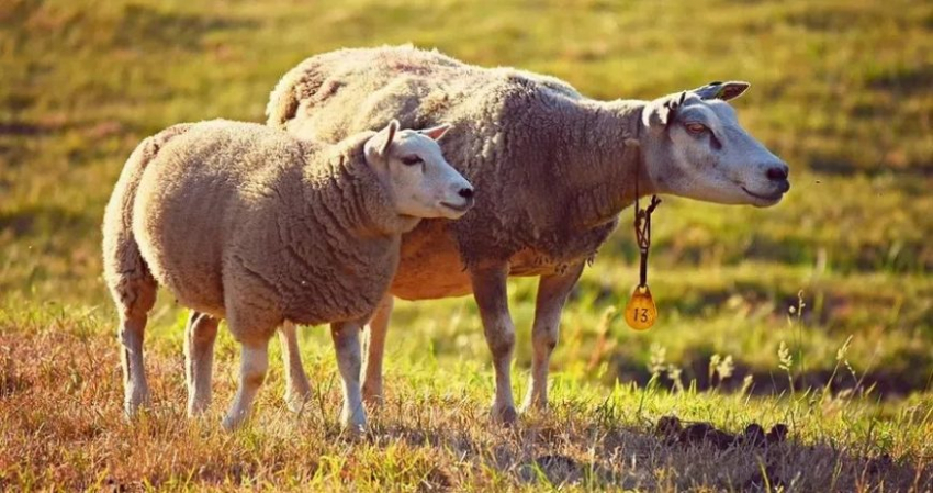 Приметы в старинный народный праздник 11 ноября 2022 года, традиции и строгие запреты дня