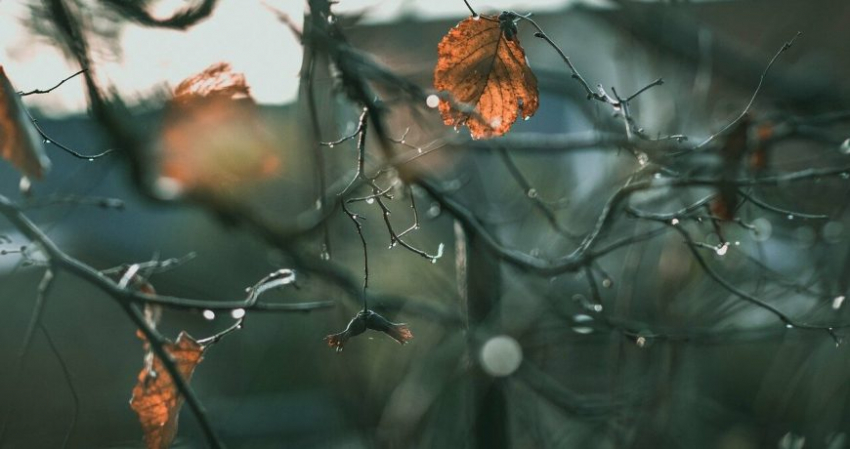 Значение старинных примет в народный праздник 13 ноября 2022 года, строгие запреты дня