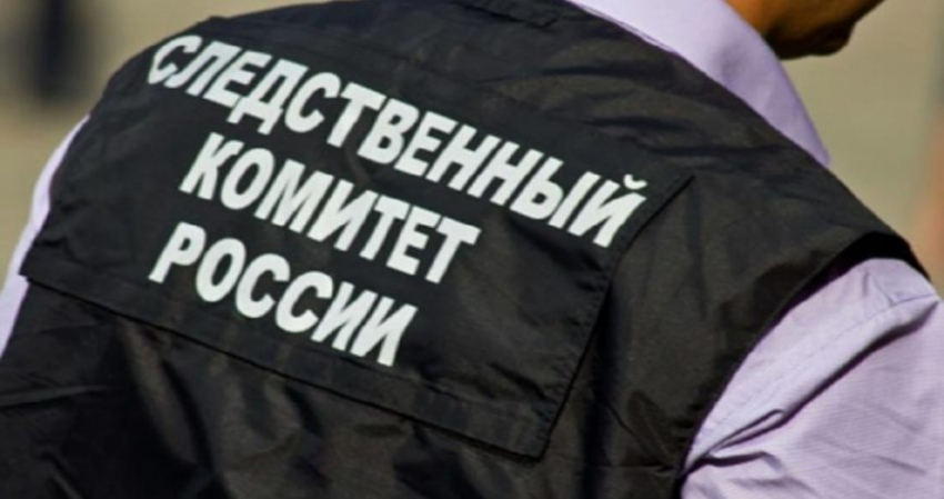 Девятимесячный ребенок впал в кому и умер в Дагестане: что с ним произошло