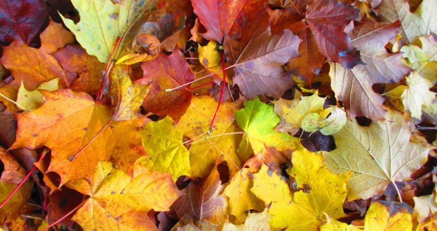 Что значат старинные приметы в народный праздник 18 ноября 2022 года, какие существуют запреты