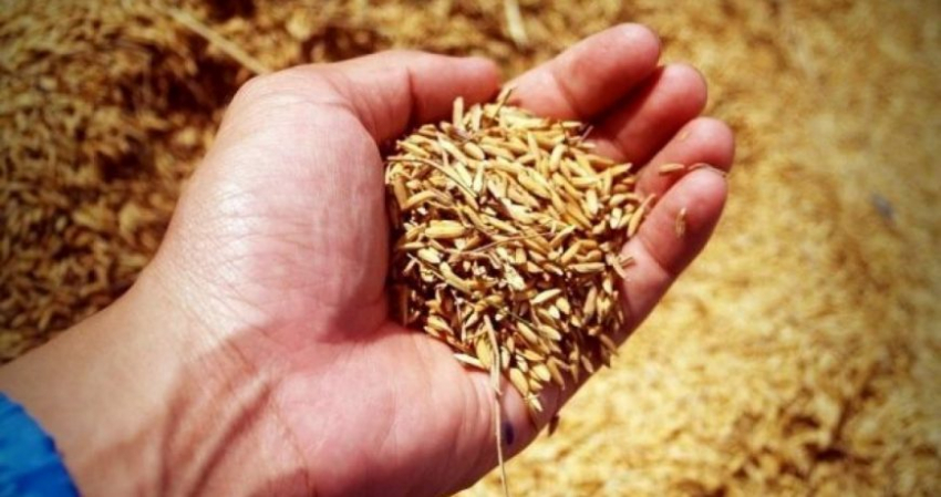 Зачем Россия и Украина продлили зерновое соглашение без изменений