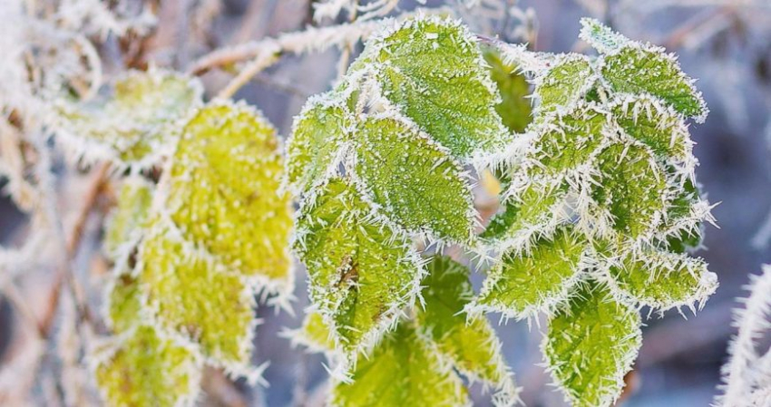 Значение старинных примет в праздник 21 ноября 2022 года, запреты, которые нельзя нарушать