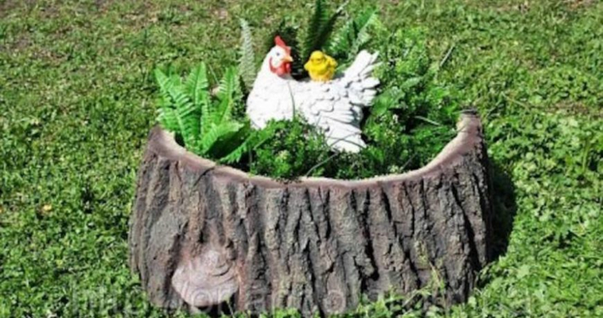 Совет дачникам: как убрать надоедливый пень всего за десять минут