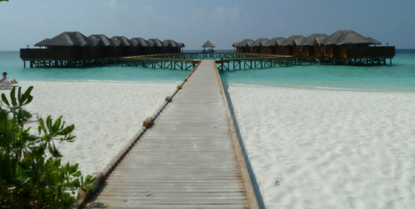 Турагент начал отправлять туристов на Мальдивы, которые обходятся дешевле Египта