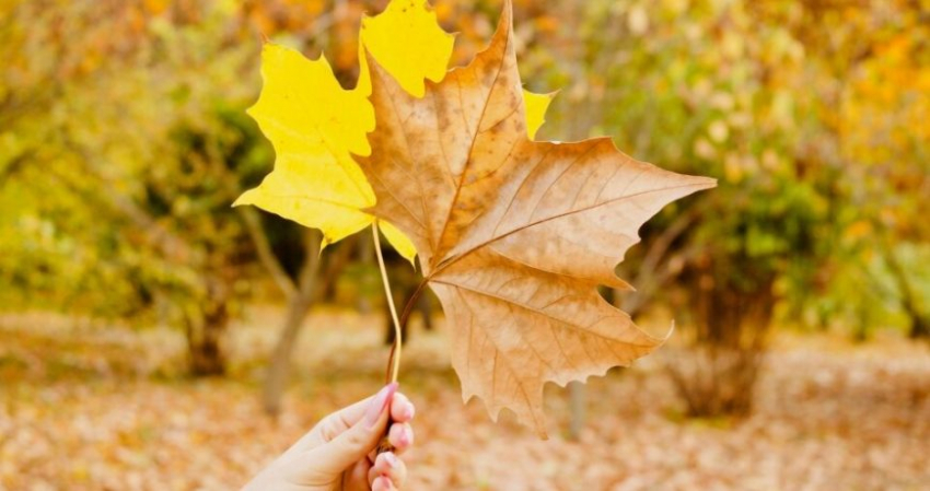 Праздники в России и мире 24 ноября 2022 года