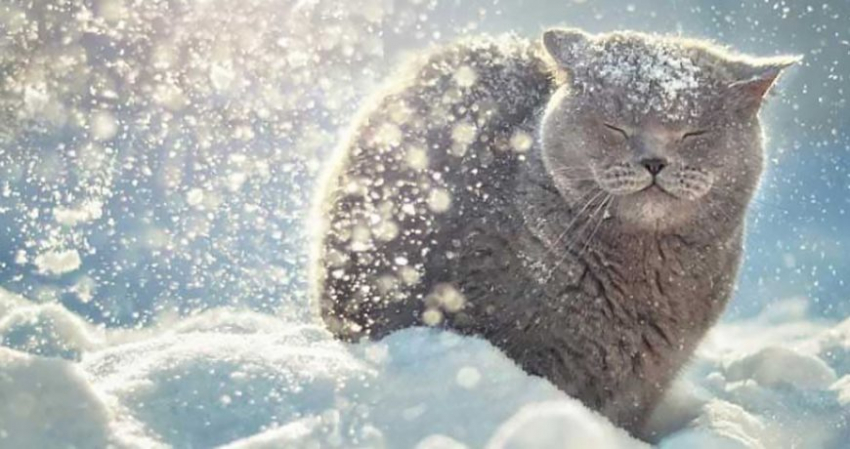 Значение старинных примет в праздник 25 ноября 2022 года, строгие запреты дня