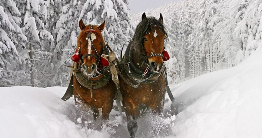 Значение старинных примет в праздник 3 декабря 2022 года и строгие запреты дня