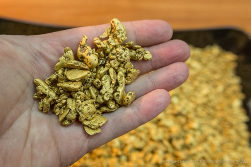 На Дальнем Востоке населению разрешат добывать золото